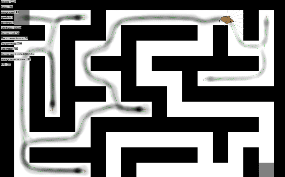 Mouse in a maze